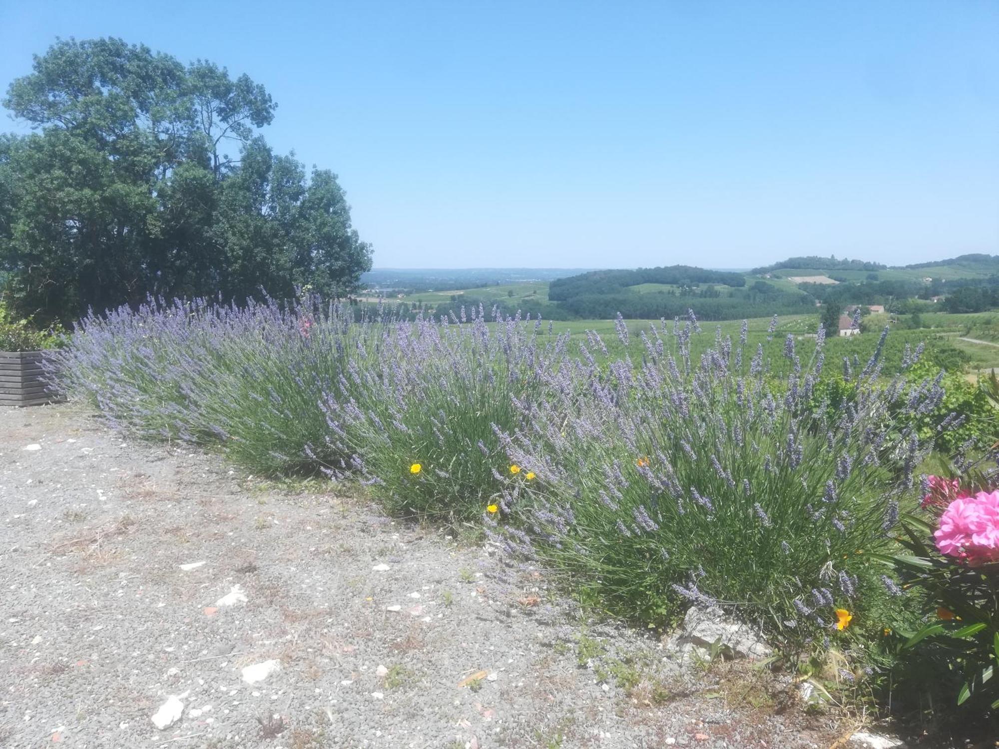 הוילה Pomport Les Vignes מראה חיצוני תמונה